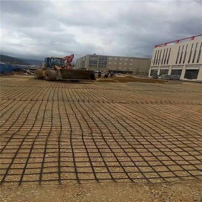 公路鐵路路堤路基加固深海作業(yè)堤岸用鋼塑土工格柵